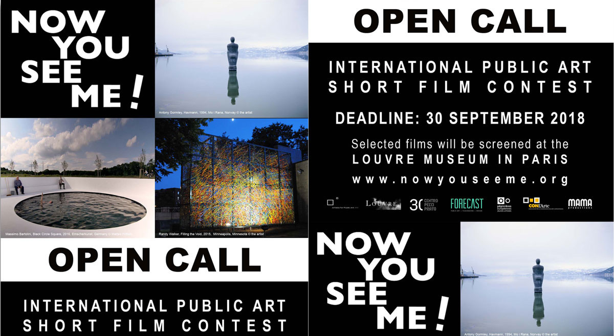 Appel 2018 | Courts-métrages sur l’art public | Now You See Me (FR)