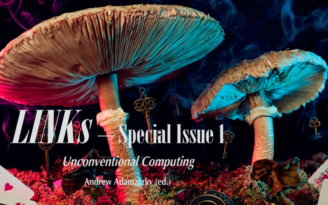 02.2021 | LINKs Revue – Special Issue 1 – UNcoNveNtIoNaL compUtINg