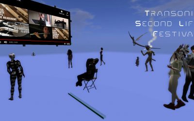 26.02.2021 | Transonic Second Life Festival #1 @ Cat’s Circus (online)