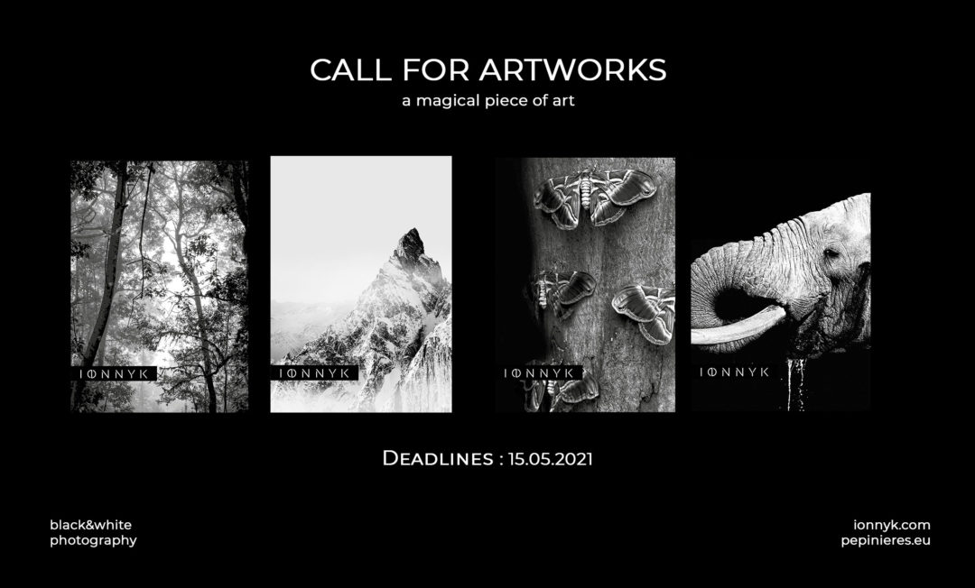 Appel 2021 | IONNYK – art photographique, numérique, noir & blanc (INT) | Thèmes : Nature – Musique