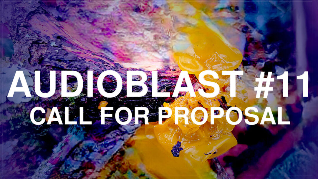 Call 2022 | Exhibition + Audioblast festival #11 (sound & radio arts 2023) | Apo33 (Fr)